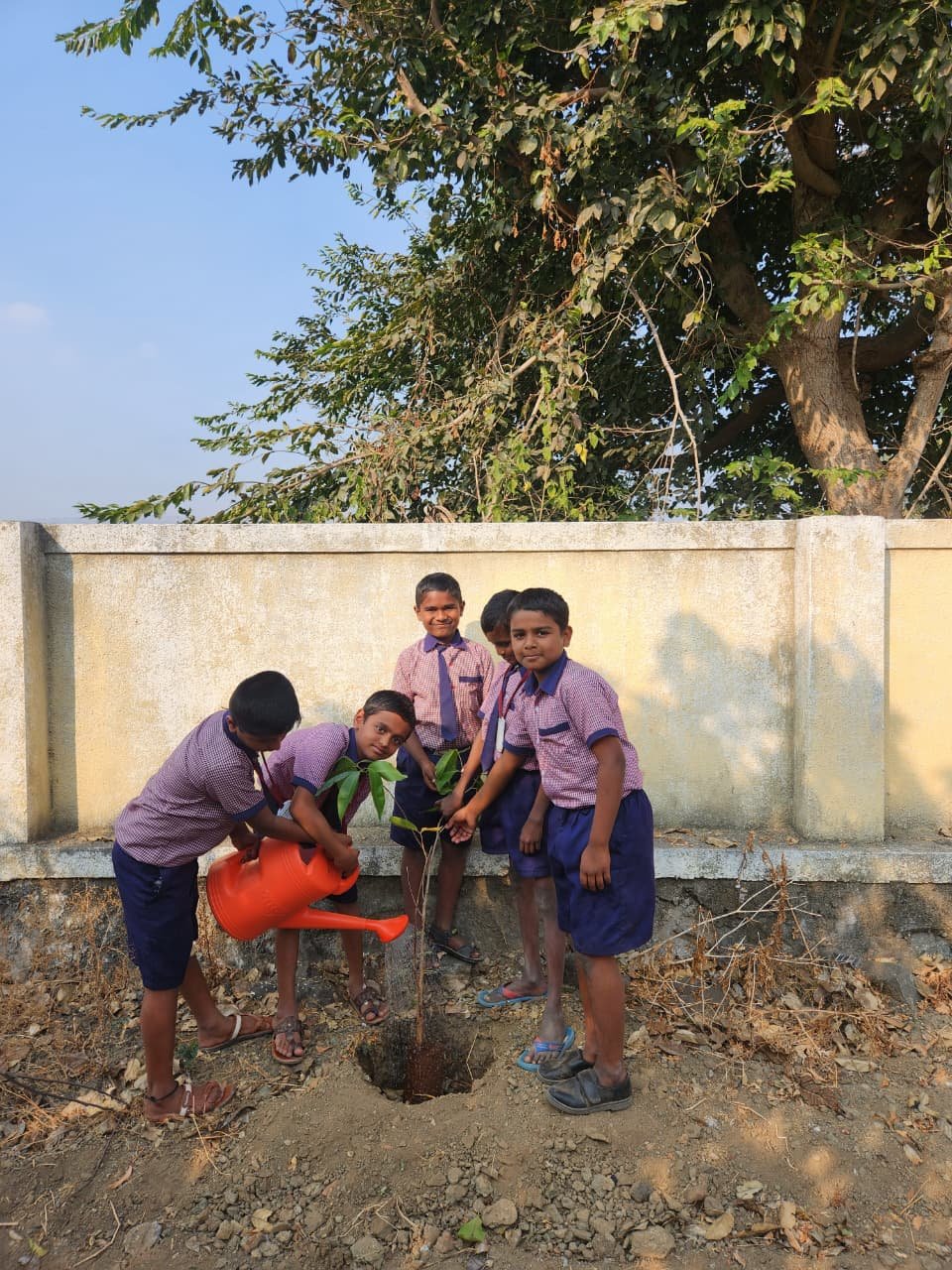 दिवाळी हरित दीपोत्सव व देशी फळझाड वाटप उपक्रम
